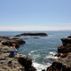 Illustration for article titled Pics from the (Ocean Floor): 2018-05-05 at Botanical Beach
